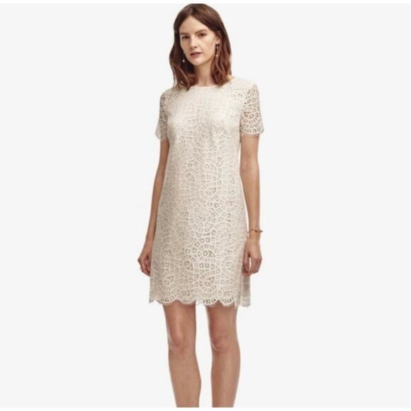 Ann Taylor Dresses & Skirts - Ann Taylor White Lace Short Sleeve Round Neck Shift Mini Dress Size 10